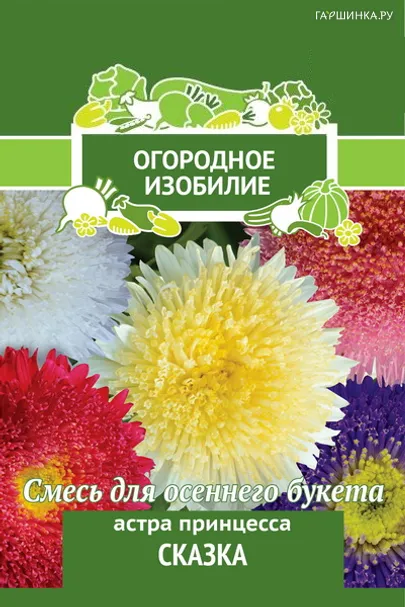 Астра принцесса Сказка 0,3, Поиск