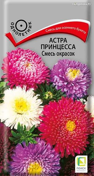Астра принцесса Смесь окрасок 0,3, Поиск