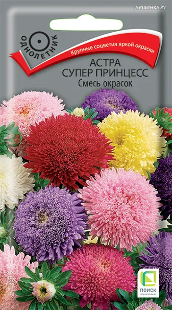 Астра супер принцесс Смесь окрасок 0,3, Поиск