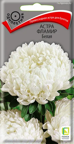 Астра Фламир Белая 0,3, Поиск