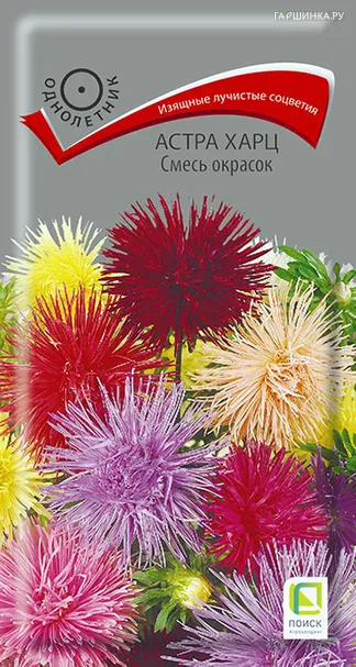 Астра харц Смесь окрасок 0,3, Поиск