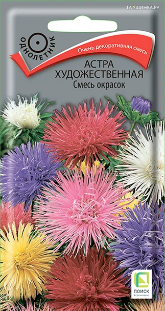 Астра художественная Смесь окрасок 0,3, Поиск