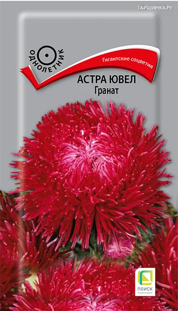Астра ювел Гранат 0,2, Поиск