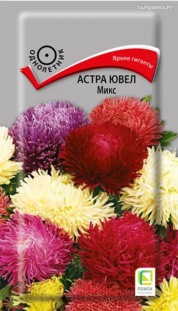 Астра ювел Микс 0,2, Поиск
