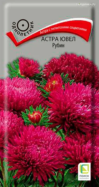 Астра ювел Рубин 0,2, Поиск