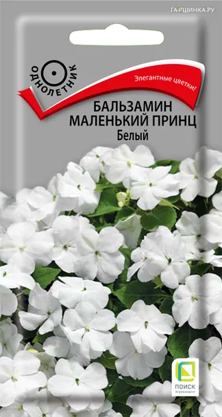 Бальзамин Маленький принц Белый 0,02, Поиск