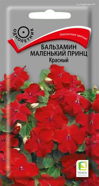 Бальзамин Маленький принц Красный 0,02, Поиск