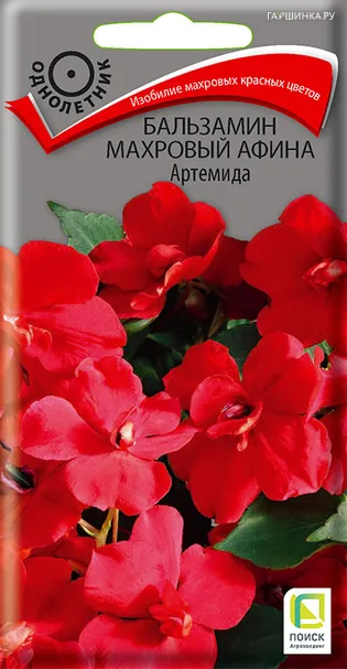 Бальзамин махровый Афина Артемида 5 шт, Семена Поиск