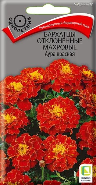 Бархатцы отклоненные махровые Аура красная 0,4, Поиск