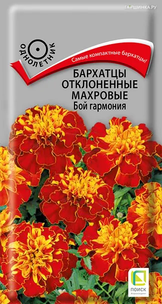 Бархатцы отклоненные махровые Бой гармония 0,4, Поиск