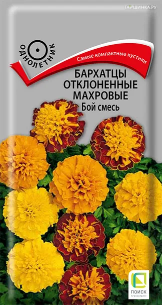 Бархатцы отклоненные махровые Бой смесь 0,4, Поиск