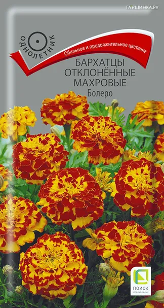 Бархатцы отклоненные махровые Болеро 0,4, Поиск