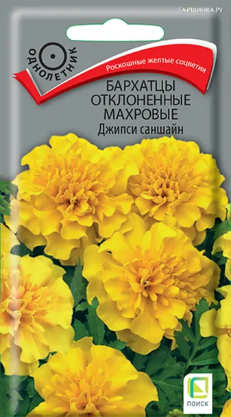 Бархатцы отклоненные махровые Джипси саншайн 0,4, Поиск