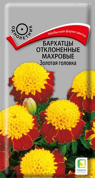 Бархатцы отклоненные махровые Золотая головка 0,4, Поиск
