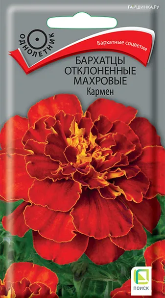 Бархатцы отклоненные махровые Кармен 0,4, Поиск