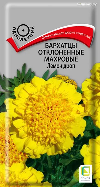 Бархатцы отклоненные махровые Лемон дроп 0,4, Поиск