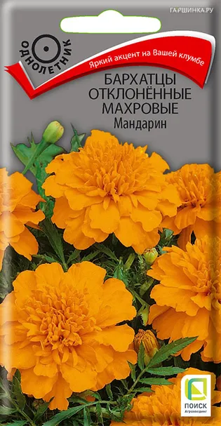 Бархатцы отклоненные махровые Мандарин 0,4, Поиск