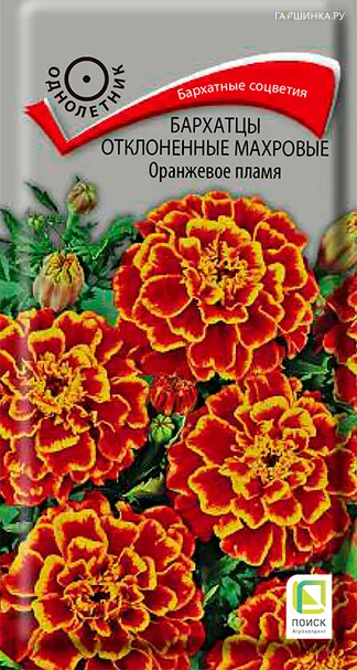 Бархатцы отклоненные махровые Оранжевое пламя 0,4, Поиск