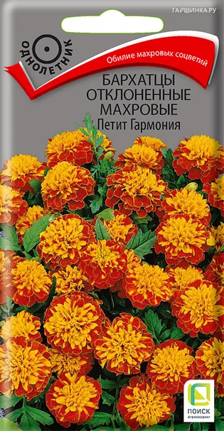Бархатцы отклоненные махровые Петит гармония 0,4, Поиск