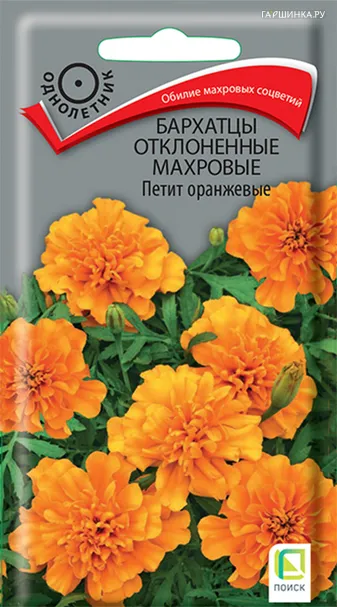 Бархатцы отклоненные махровые Петит оранжевые 0,4, Поиск