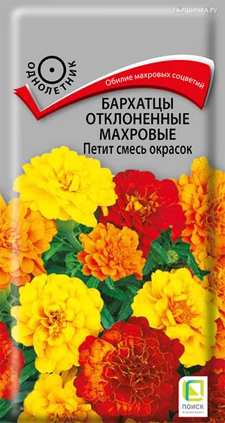 Бархатцы отклоненные махровые Петит смесь окрасок 0,4, Поиск