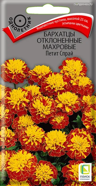 Бархатцы отклоненные махровые Петит Спрай 0,4, Поиск