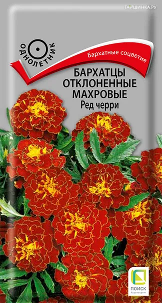Бархатцы отклоненные махровые Ред черри 0,3, Поиск