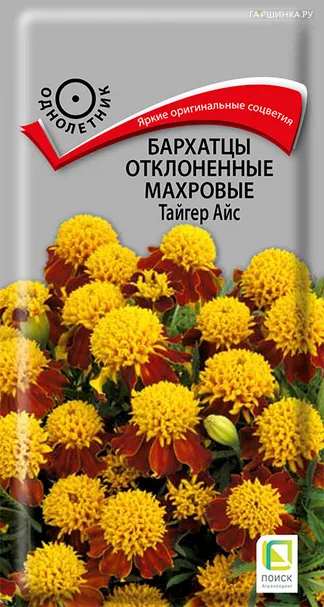 Бархатцы отклоненные махровые Тайгер Айс 0,4, Поиск