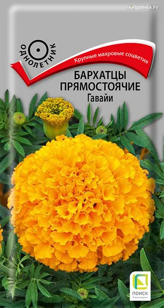 Бархатцы прямостоячие Гавайи 0,4, Поиск