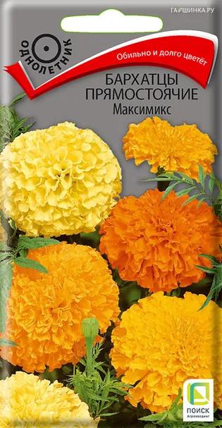 Бархатцы прямостоячие Максимикс 0,3, Поиск