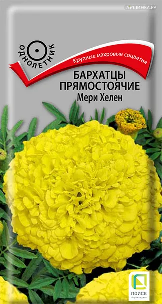 Бархатцы прямостоячие Мери Хелен 0,4, Поиск