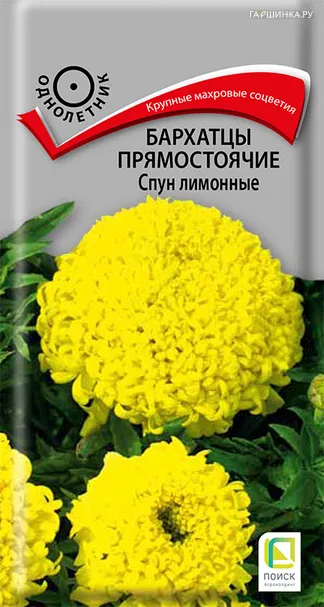 Бархатцы Спун лимонные прямостоячие 0,1 г, Семена Поиск