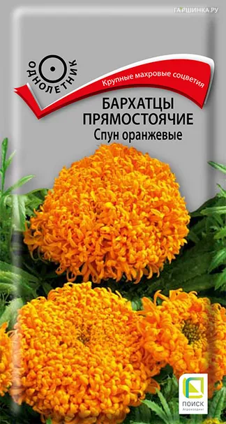 Бархатцы Спун оранжевые прямостоячие 0,1 г, Семена Поиск