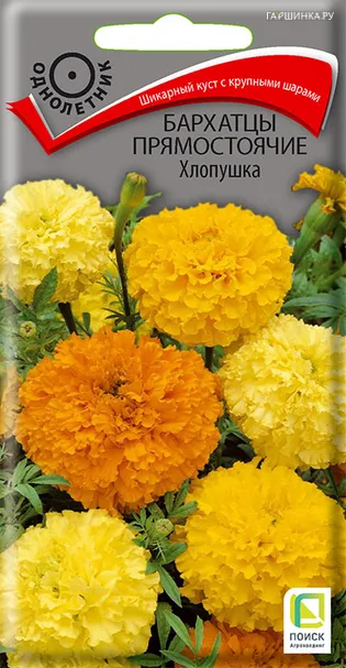 Бархатцы прямостоячие Хлопушка 0,4, Поиск