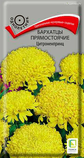 Бархатцы Цитроненпринц прямостоячие 0,4 г, Семена Поиск