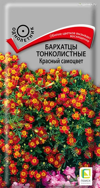 Бархатцы Красный самоцвет тонколистные 0,1 г, Семена Поиск