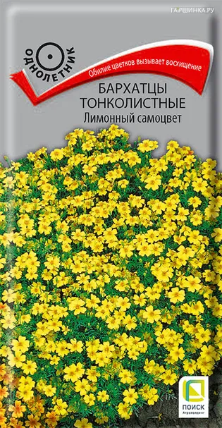Бархатцы тонколистные Лимонный самоцвет 0,1, Поиск
