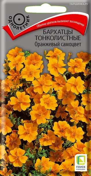 Бархатцы тонколистные Оранжевый самоцвет 0,1, Поиск
