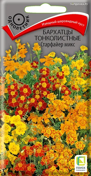 Бархатцы тонколистные Старфайер микс 0,1, Поиск