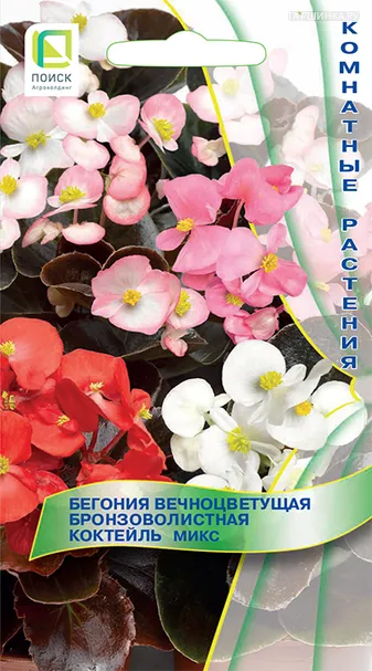 Бегония Коктейль Микс 25 вечноцветущая бронзоволистная, Семена Поиск