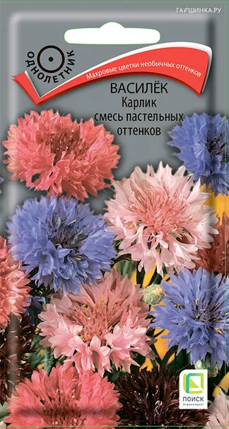 Василек Карлик смесь пастельных оттенков 0,1 г, Семена Поиск