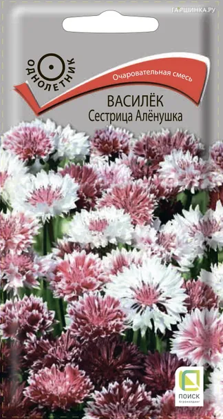 Василек Сестрица Аленушка 0,3 г, Семена Поиск