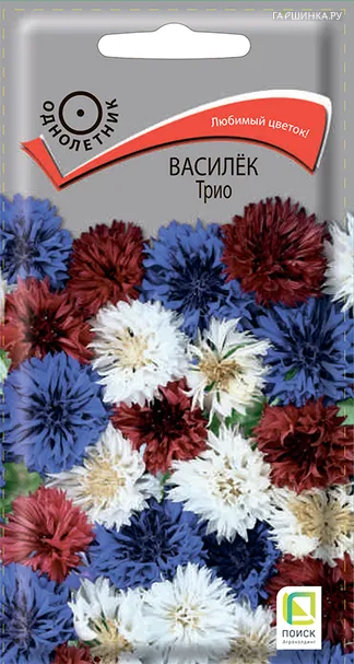 Василек Трио 0,2, Поиск