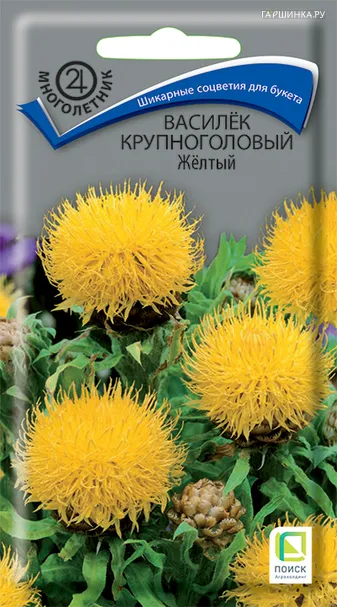 Василек крупноголовый Желтый 0,8, Поиск