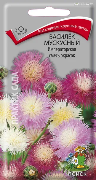 Василек мускусный Императорская смесь окрасок 0,2, Поиск