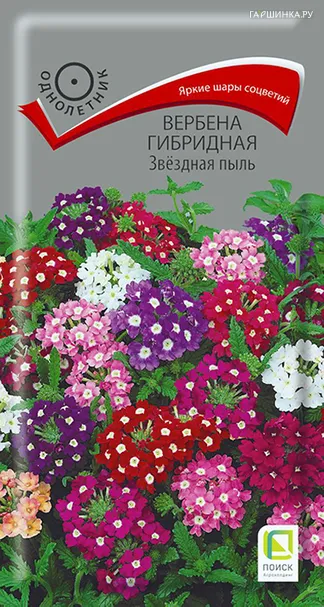 Вербена гибридная Звездная пыль 0,2, Поиск
