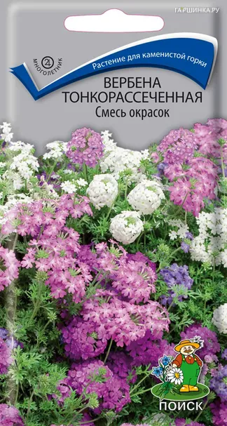 Вербена тонкорассеченная Смесь окрасок 0,02, Поиск