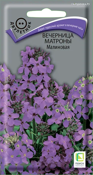 Вечерница Матроны Малиновая 0,3 г, Семена Поиск