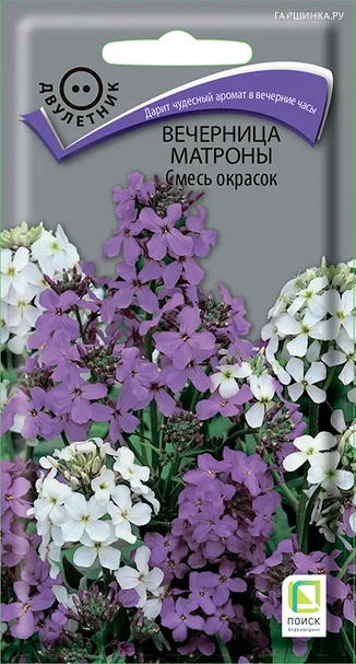 Вечерница Матроны Смесь окрасок 0,3 г, Семена Поиск