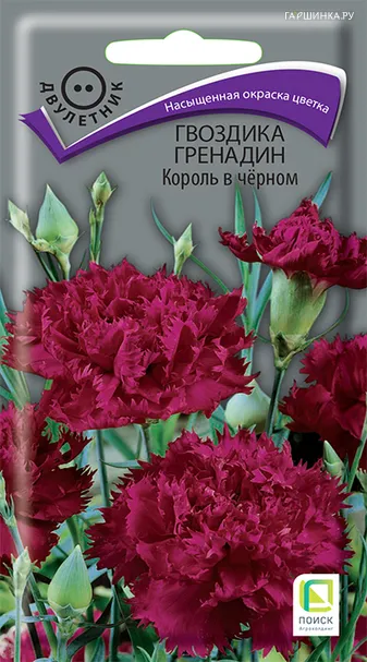 Гвоздика Гренадин Король в черном 0,1 г, Семена Поиск